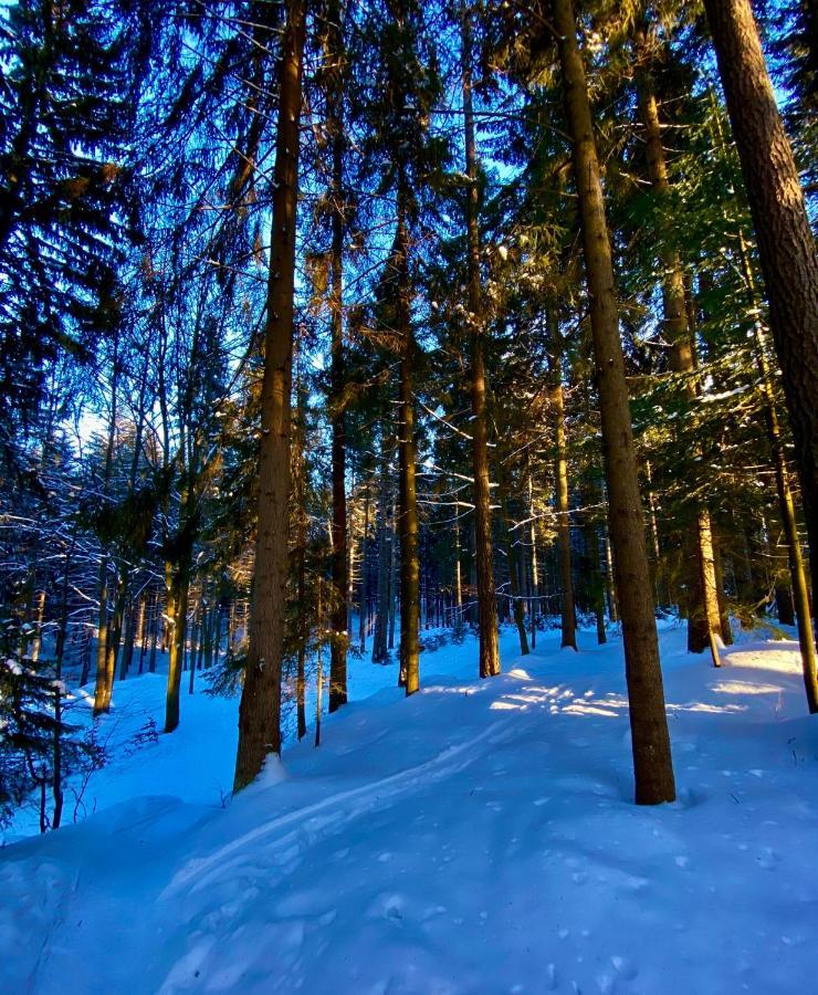 Apartmány Panorama Harrachov Exteriér fotografie