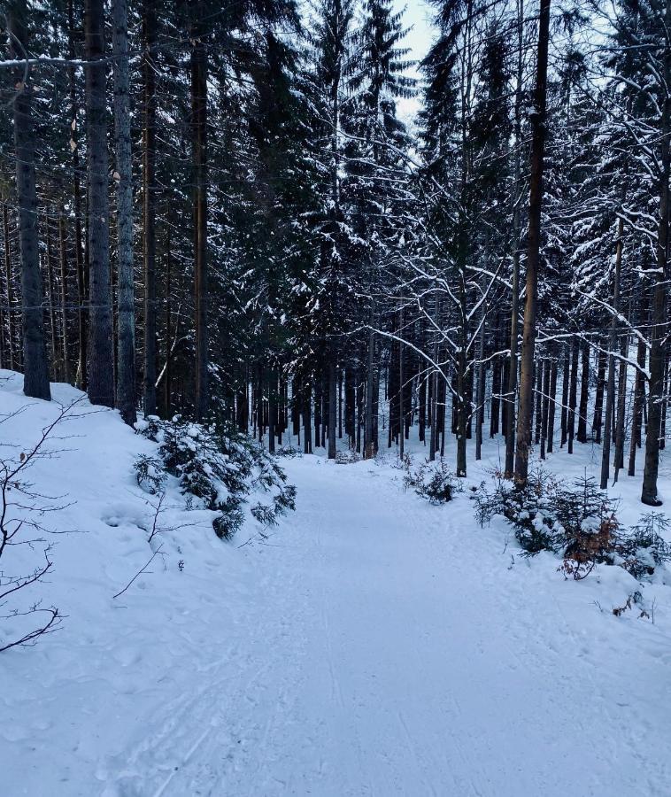 Apartmány Panorama Harrachov Exteriér fotografie
